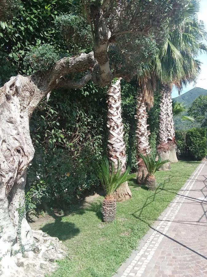 Villa Agata Forchia Buitenkant foto