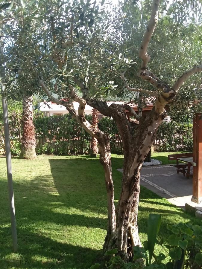 Villa Agata Forchia Buitenkant foto